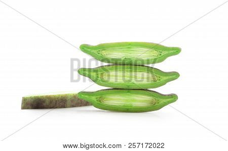 Close Up Broken Bone Tree,damocles Tree Isolated On White Background