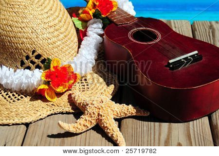 Farverige matrix af stranden tilbehør og ukelele på dock