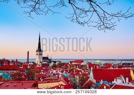 Beautiful View To The Old Rown Of Tallinn From The City Wall At Sunset