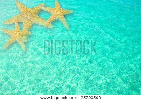 คลัสเตอร์ของปลาดาวในสวยล้างน้ำคราม ripples อ่อนโยน