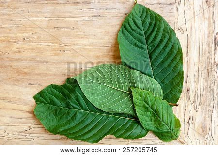 Kratom Leaves On Wooden Table From Above.