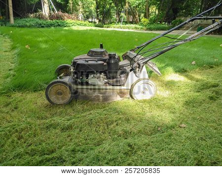 A Lawn Mower Cutting Grass Gardening Concepts