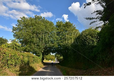 A Man Ran On A Long Road Surrounded By Green Plants, And At The End He Passed A Strong Tree, Blue Sk