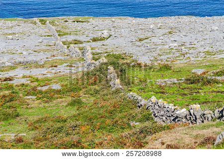 Fanore Beach In Burren Mountain With Stone Walls