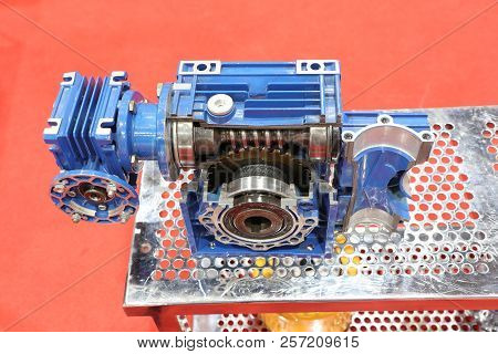 Cross Section Of Worm Gear Pump ; Selective Focus