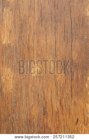 Wooden Photophone, Texture, Background. Door - Catholic Church. Saint Petersburg, Russia
