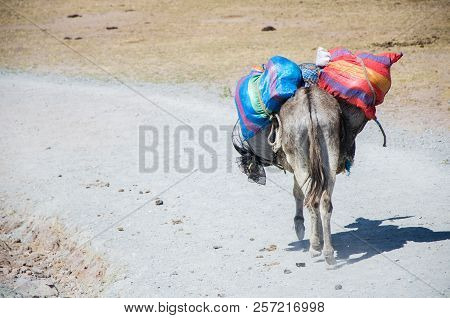 An Old Donkey Carrying Goods Through A Stone Path In Marcahuasi