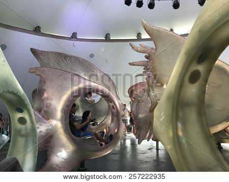 New York, Ny - Jun 9: The Seaglass Carousel At The Battery Park In New York, As Seen On Jun 9, 2018.