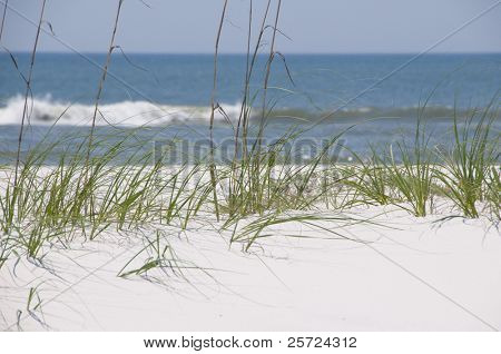 PERDIDO KEY - 4 maj: Turisme og dyreliv er truet som Gulf oil spill tilgange Florida. P