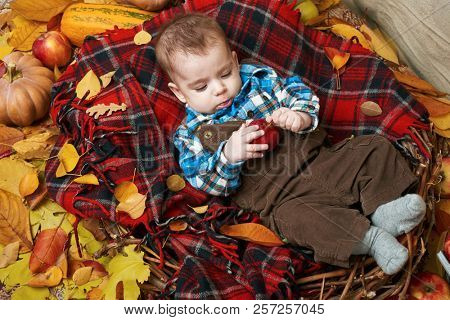 autumn concept - child boy lie on yellow leaves with fruits and vegatbles, red apples and pumpkins