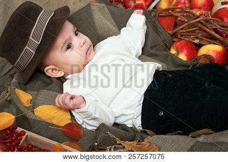 autumn concept - child boy lie on yellow leaves with fruits and vegatbles, red apples and pumpkins