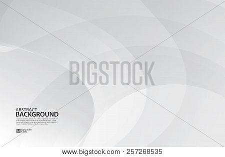 Gray Curve Abstract Background, White Texture, Wallpaper, Surface, Banner, Cover Design Layout Templ