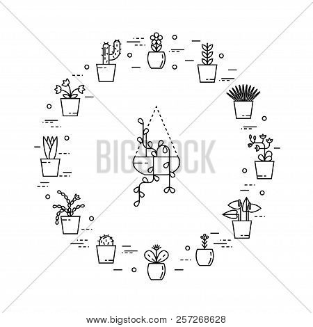 Set Of House Plant In Round Shape