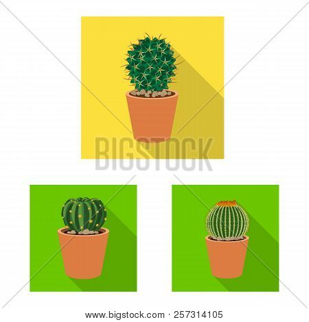 Isolated Object Of Cactus And Pot Icon. Set Of Cactus And Cacti Vector Icon For Stock.