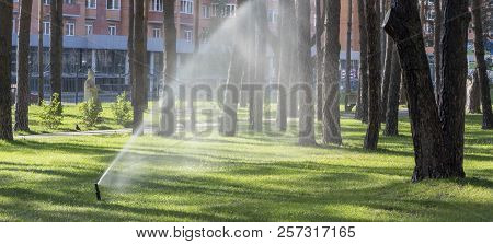 Automatic Watering Pours A Bad Lawn On A Hot Summer Day
