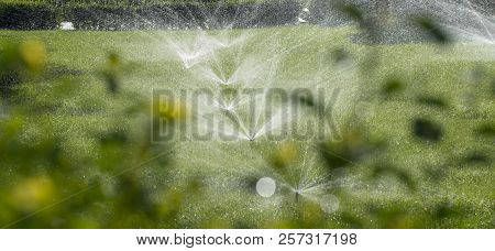 Automatic Watering Pours A Bad Lawn On A Hot Summer Day