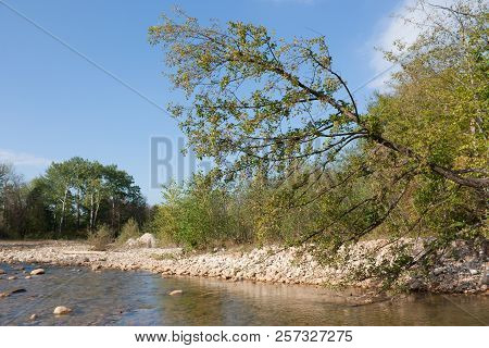 Bright Autumn Day On The Forest River. Kurdzhips River In The Krasnodar Region.
