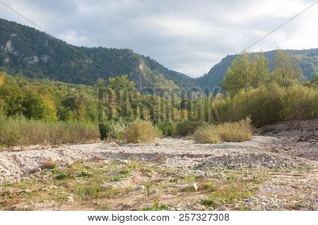 Bright Autumn Day On The Forest River. Kurdzhips River In The Krasnodar Region.