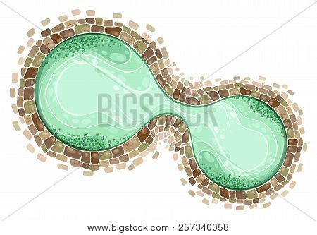 Nature Stone Pond Top View Design Vector Illustration