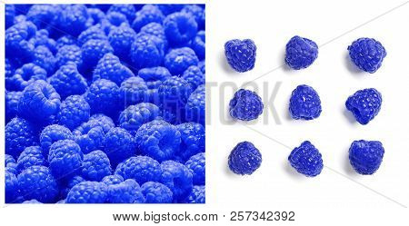 Set With Blue Raspberries (rubus Leucodermis) On White Background