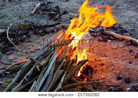 Romantic Evening By The Sea By The Fire