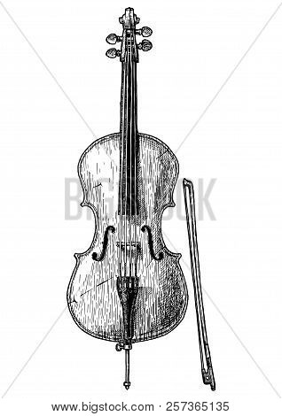 Vector Hand Drawn Illustration Of Cello In Vintage Engraved Style. Isolated On White Background. Fro