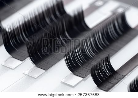 Set Artificial Lashes White Isolated Background, Eyelash Extension.