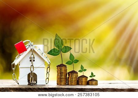 A House Model With Security And Lock And Stacking Gold Coins In Public Park, Saving Money For Real E