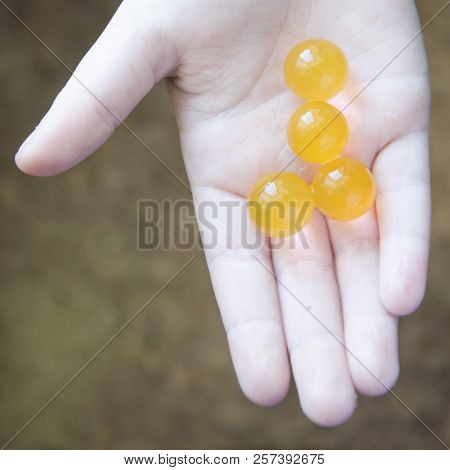 Four Big Balls Of Orange Arbis On The Child's Hand