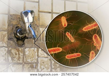 Safety Of Drinking Water Concept, 3d Illustration Showing Escherichia Coli Bacteria Contaminating Dr