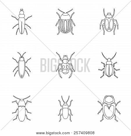 Order Coleoptera Icons Set. Outline Illustration Of 9 Order Coleoptera Icons For Web