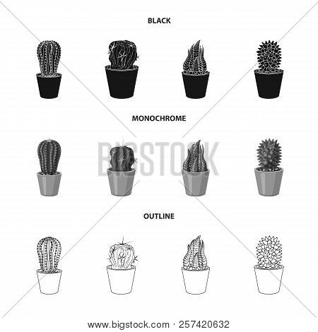 Vector Illustration Of Cactus And Pot Sign. Set Of Cactus And Cacti Vector Icon For Stock.