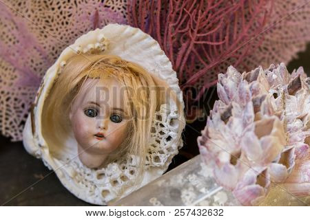 An Antique German Porcelain Doll Head Surrounded By Corals And Sea Shells And A Bottle With Barnacle