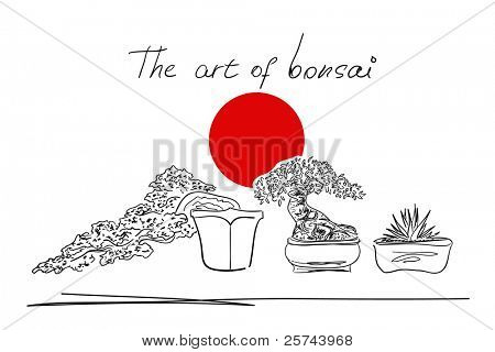 kalligrafische schetsen van bonsaibomen, vector