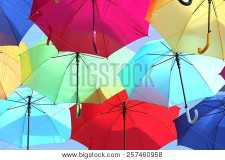 Umbrellas