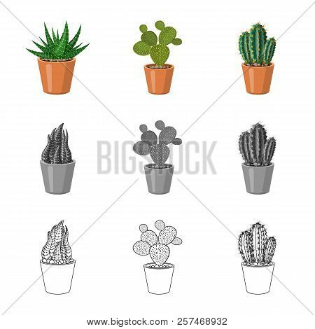 Vector Illustration Of Cactus And Pot Logo. Set Of Cactus And Cacti Vector Icon For Stock.
