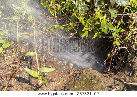 A Close Up View Of Water Spraying Out A Burst Pipe Under The Ground In An Outside Garden