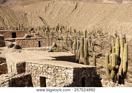 Pucara De Tilcara Ruins - Jujuy - Argentina