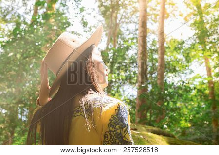 Women Are In The Rainforest, Environment And Travel. Military Politics School Phu Hin Rongkla Phetch