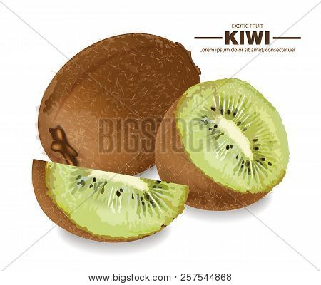 Kiwi Fruits Vector Realistic. Detailed 3d Illustration Fruits Mok Up Banners