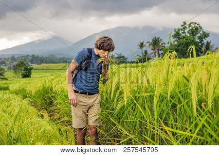 Young Man Traveler On Beautiful Jatiluwih Rice Terraces Against The Background Of Famous Volcanoes I