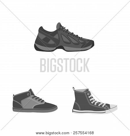 Vector Design Of Man And Foot Icon. Set Of Man And Wear Stock Vector Illustration.