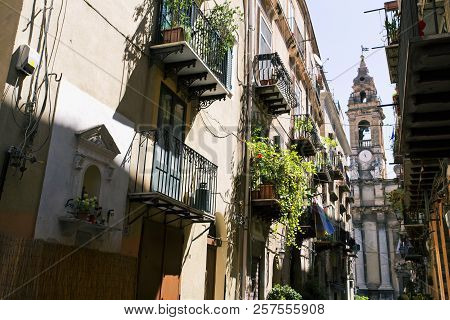 The Historic Center Of Palermo, Via Bara All'olivella