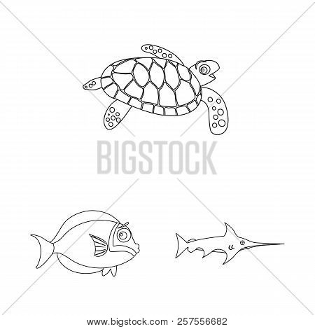 Isolated Object Of Sea And Animal Symbol. Set Of Sea And Marine Stock Symbol For Web.