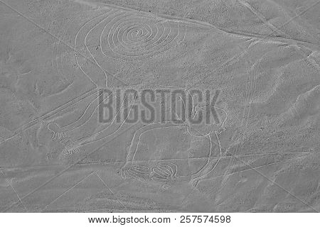 The Monkey - Nasca Lines - Peru