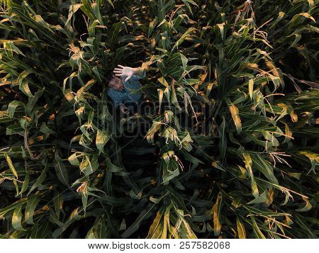 Farmer In Cultivated Corn Field Is Waving To Drone Camera Directly Above Him