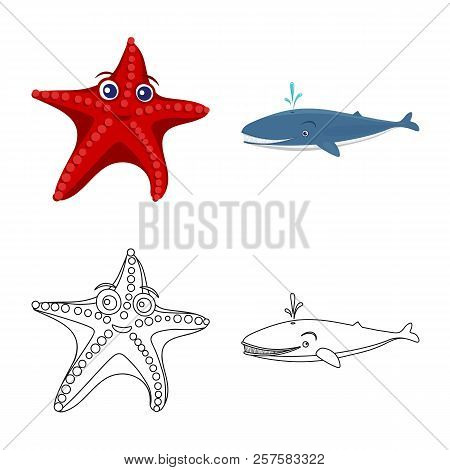 Vector Design Of Sea And Animal Icon. Set Of Sea And Marine Vector Icon For Stock.