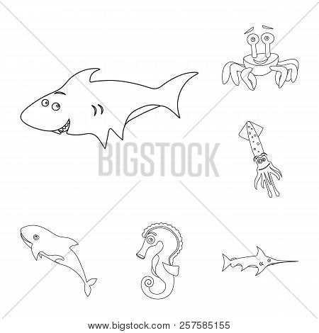 Isolated Object Of Sea And Animal Symbol. Collection Of Sea And Marine Stock Symbol For Web.