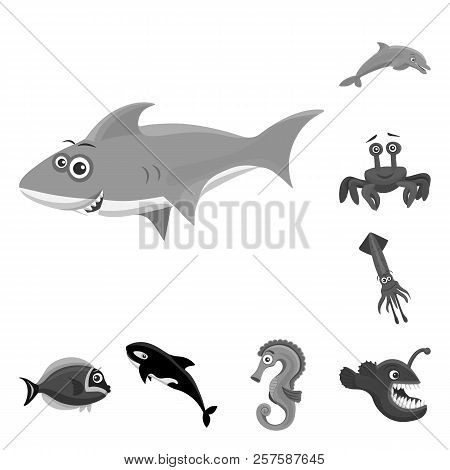 Vector Design Of Sea And Animal Sign. Collection Of Sea And Marine Vector Icon For Stock.