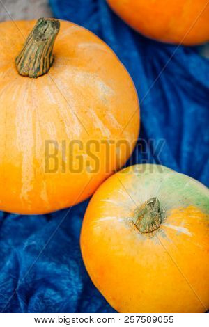 Orange Pumpkin On Blue Fabric, Close-up, Top View